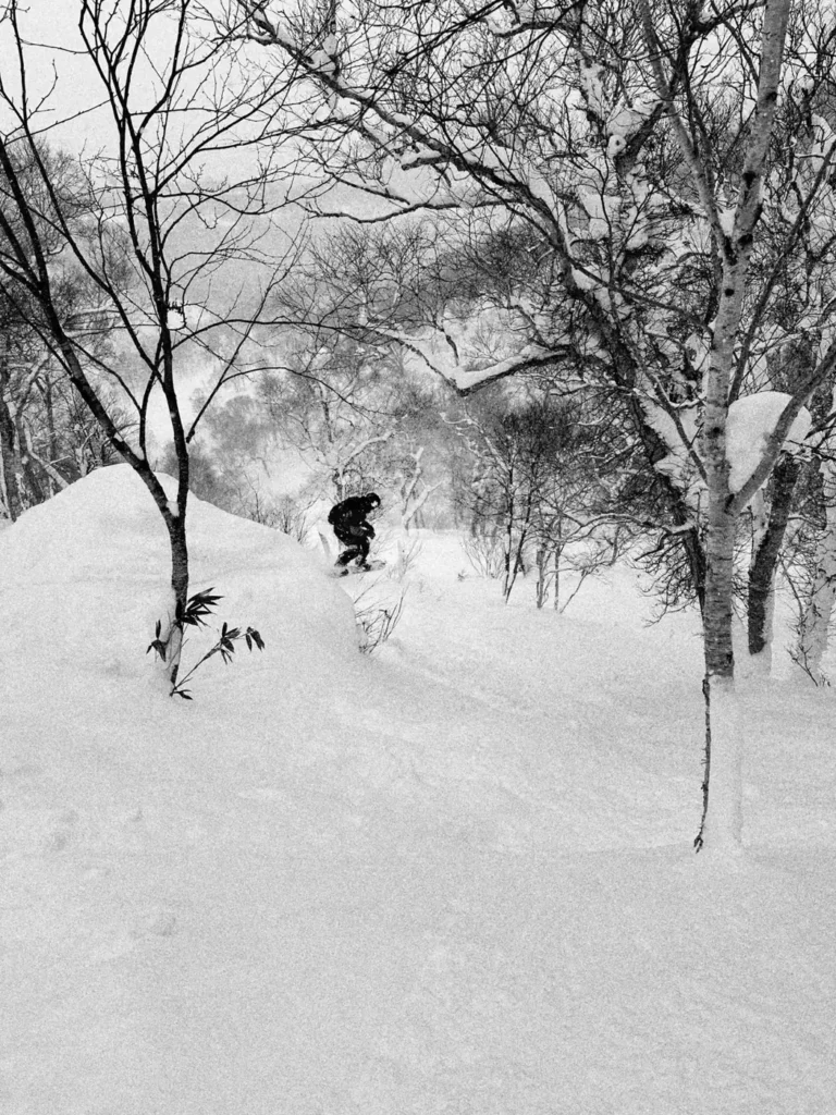 Snowboarder making round turns through deep snow in the Niseko trees