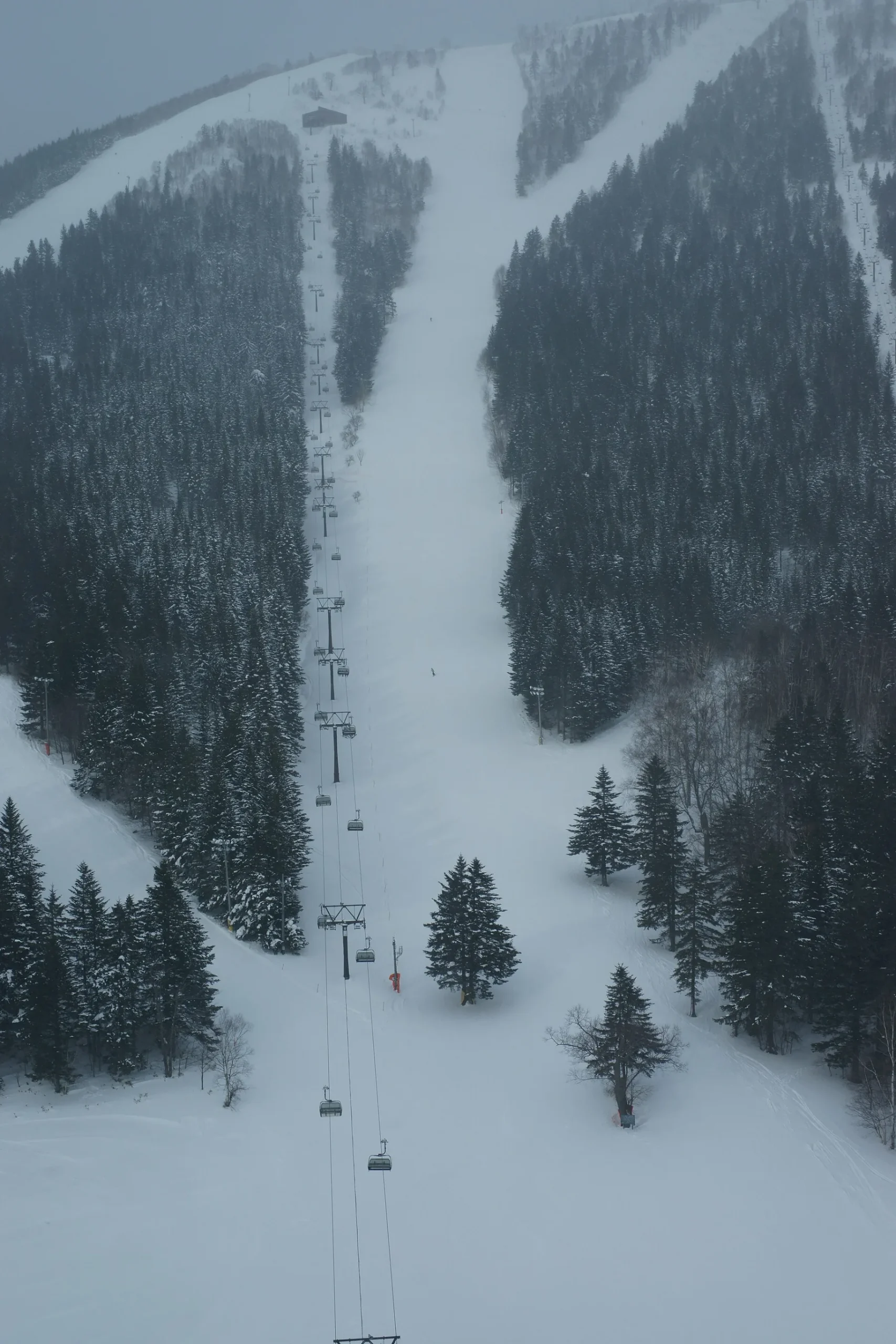 Groomed run cutting through snowy forest at Hoshino Resorts Tomamu, central Hokkaido